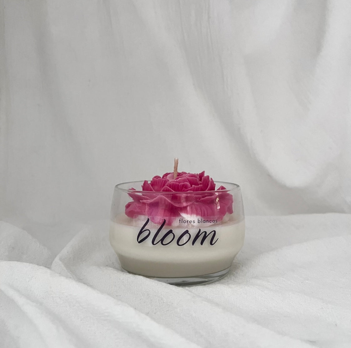 Vela Bloom