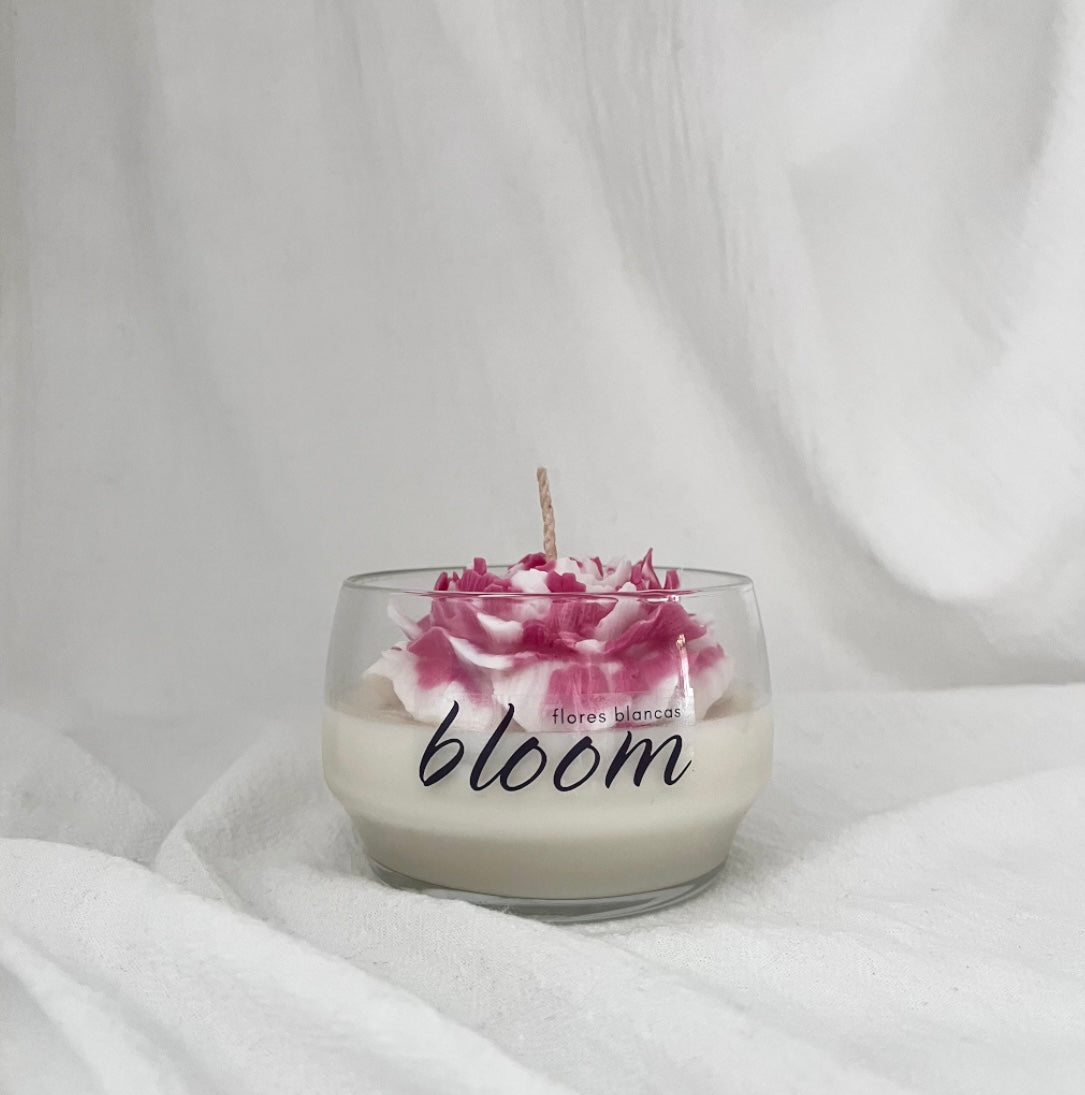 Vela Bloom